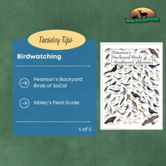 Birdwatching Tips 4 of 5