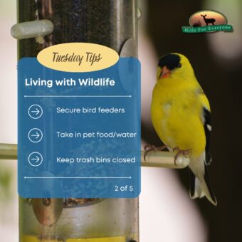Living with Wildlife 2 of 5