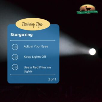 Stargazing 2 of 5