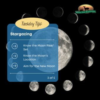 Stargazing 3 of 5