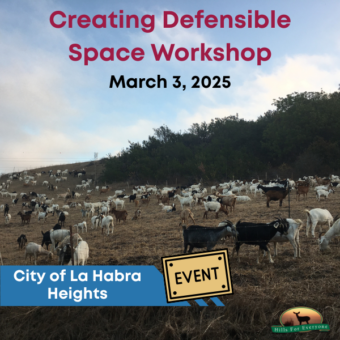 La Habra Heights Meeting