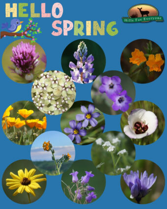 Happy Spring Equinox