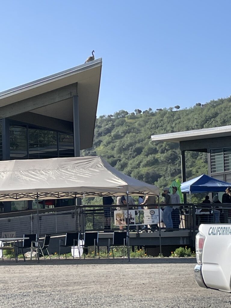 A photo of the set up for Earth Day at the Discovery Center with a tent, chairs, and people on the deck. Atop the roof is a goose.