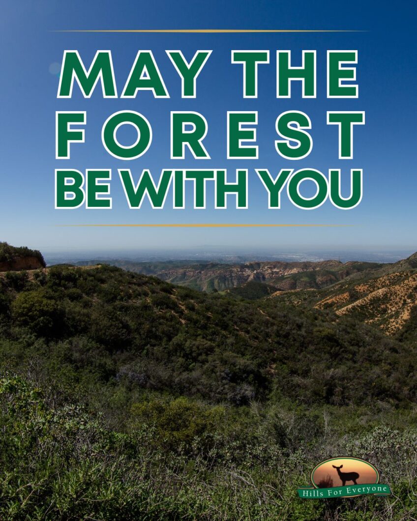 May the Forest Be With You