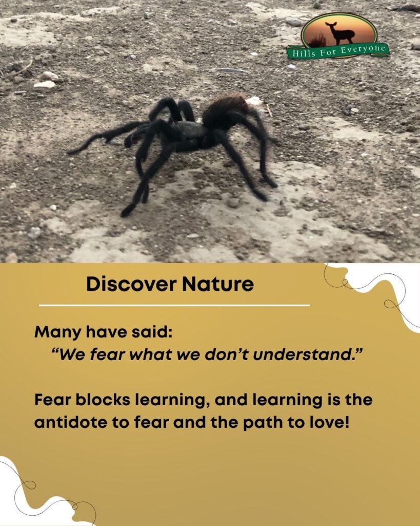 A tarantula walking on the dirt on the top with the HFE logo upper right. Below it is a mustard yellow background. The title is: Discover Nature. Below it is text that reads: Many have said: “We fear what we don’t understand.” Fear blocks learning, and learning is the antidote to fear and the path to love!