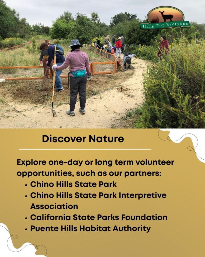 A group of volunteers installing plants on a cloudy day on the top with the HFE logo upper right. Below it is a mustard yellow background. The title is: Discover Nature. Below it is text that reads: Explore one-day or long term volunteer opportunities, such as our partners: Chino Hills State Park Chino Hills State Park Interpretive Association California State Parks Foundation Puente Hills Habitat Authority