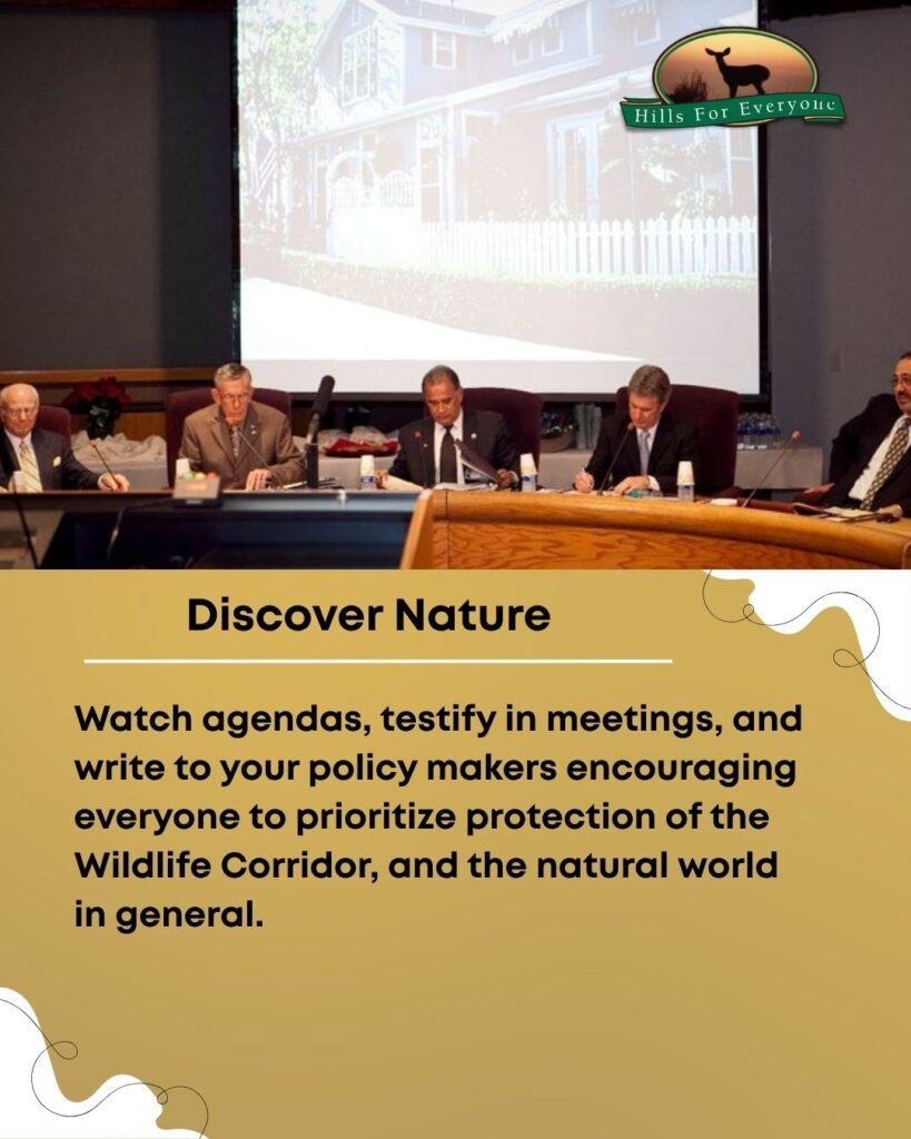A photo of a city council meeting on the top with the HFE logo upper right. Below it is a mustard yellow background. The title is: Discover Nature. Below it is text that reads: Watch agendas, testify in meetings, and write to your policy makers encouraging everyone to prioritize protection of the Wildlife Corridor, and the natural world in general.