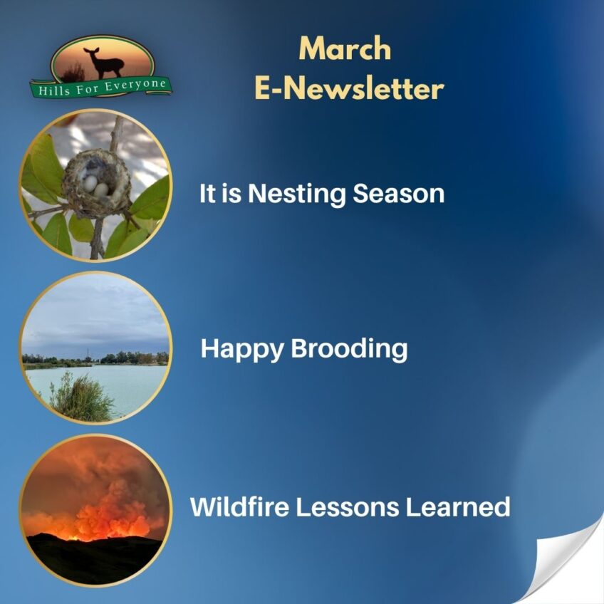 May 2025 E-Newsletter