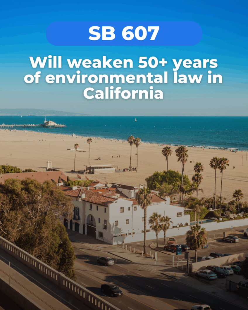 CEQA Works