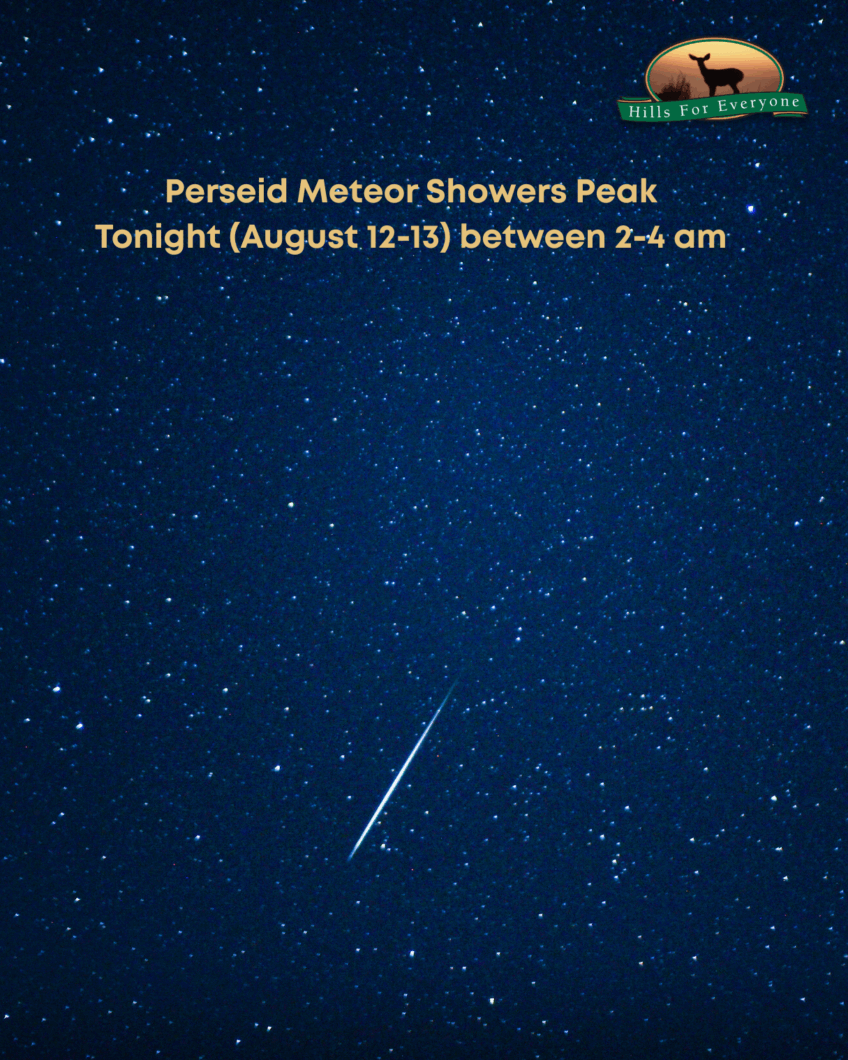 Meteor Shower Tonight