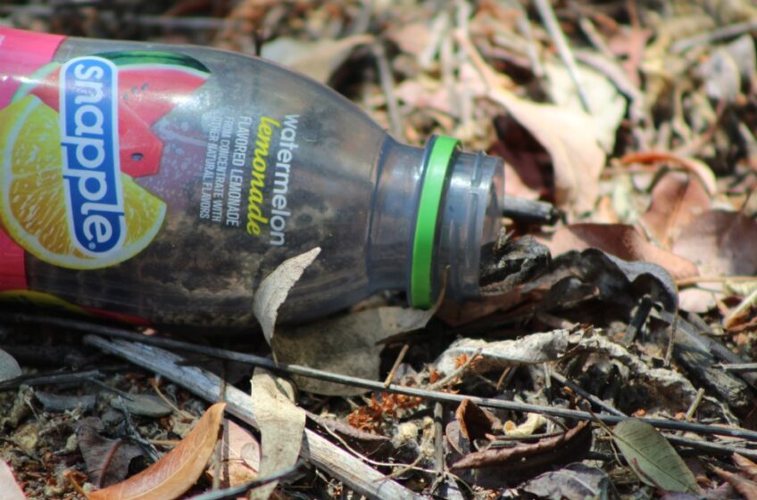 Leave No Trace
