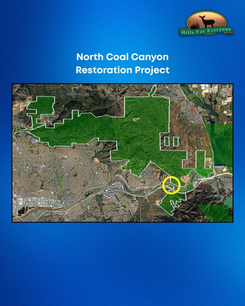 Set against a blue background the HFE logo is upper right. The title reads: North Coal Canyon Restoration Project. There is a map with Chino Hills State Park and a yellow circle of the restoration area.