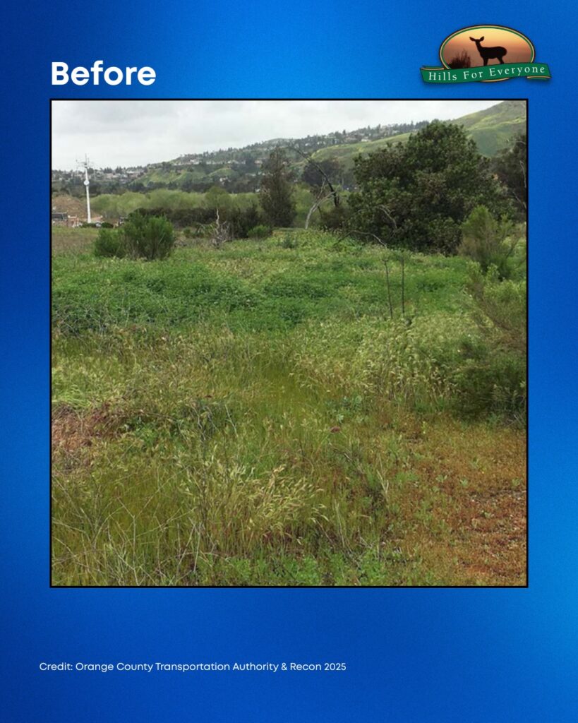 Set against a blue background the HFE logo is upper right. The title reads: Before. There are tall grasses, shrubs and bare dirt.