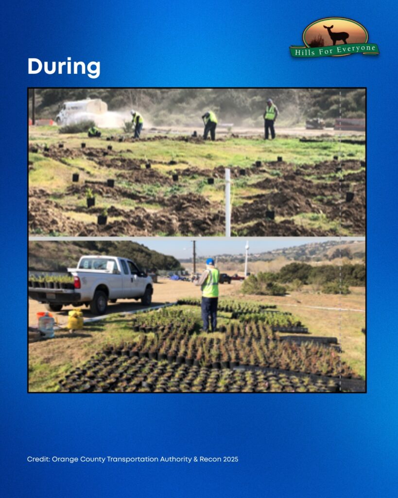 Set against a blue background the HFE logo is upper right. The title reads: During. There are two photos. The top photo is people working on digging holes in the ground. The bottom photo is a guy amidst small potted plants.