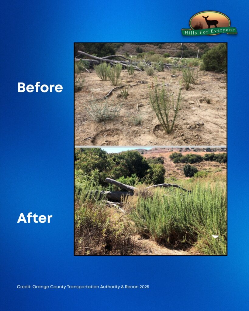 Set against a blue background the HFE logo is upper right. The title reads: Before (upper) and After (lower). There are two photos. The top photo bare dirt with a few plants with drainage circles. The bottom photo is sagebrush and other plants growing.