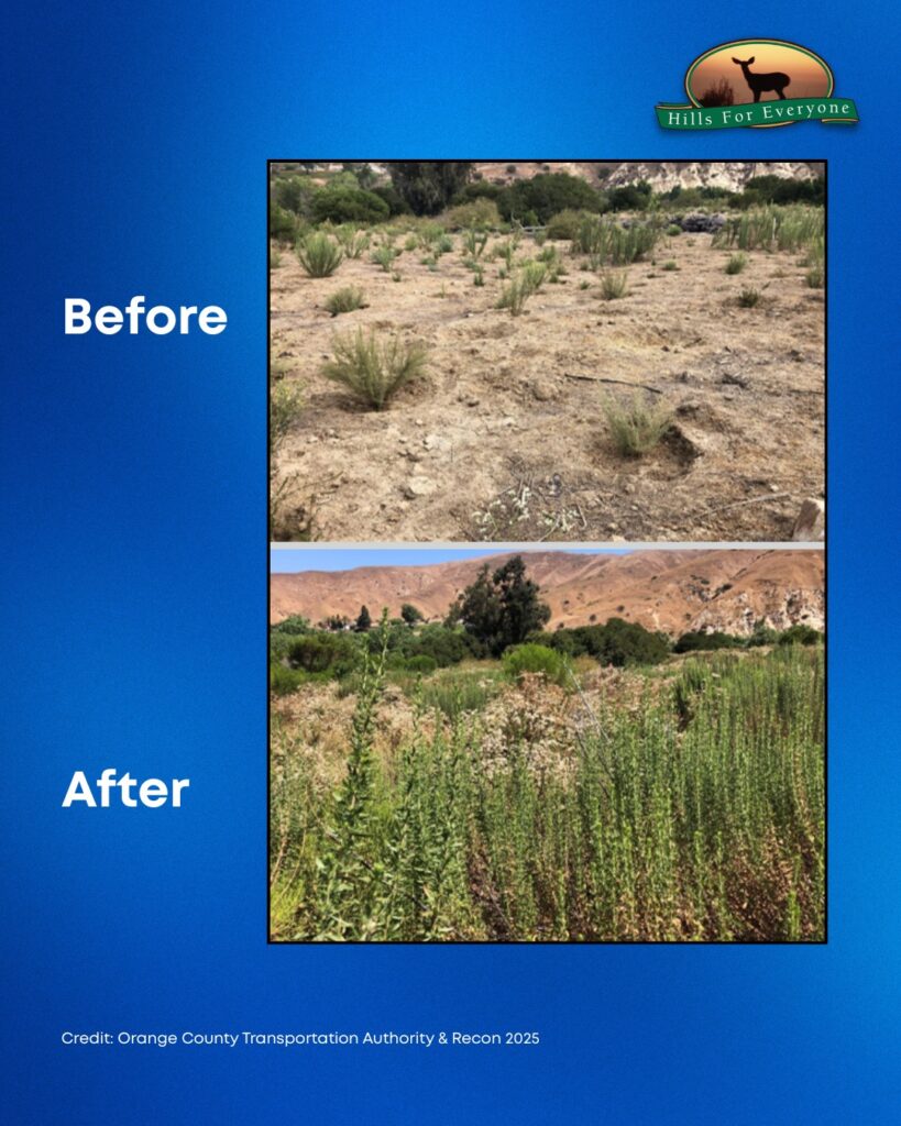 Set against a blue background the HFE logo is upper right. The title reads: Before (upper) and After (lower). There are two photos. The top photo bare dirt with a few plants. The bottom photo includes plants growing.