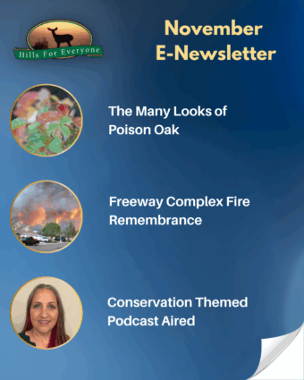 November E-Newsletter