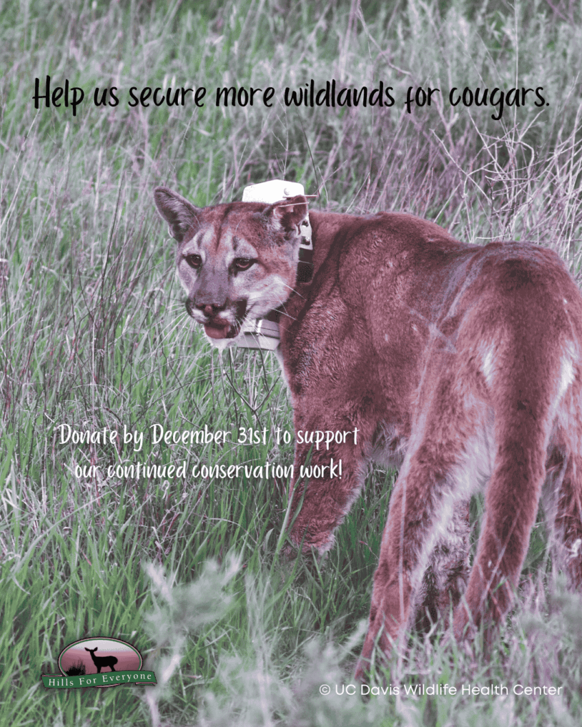 Support Our Conservation Work