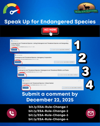 Take Action for Endangered Species