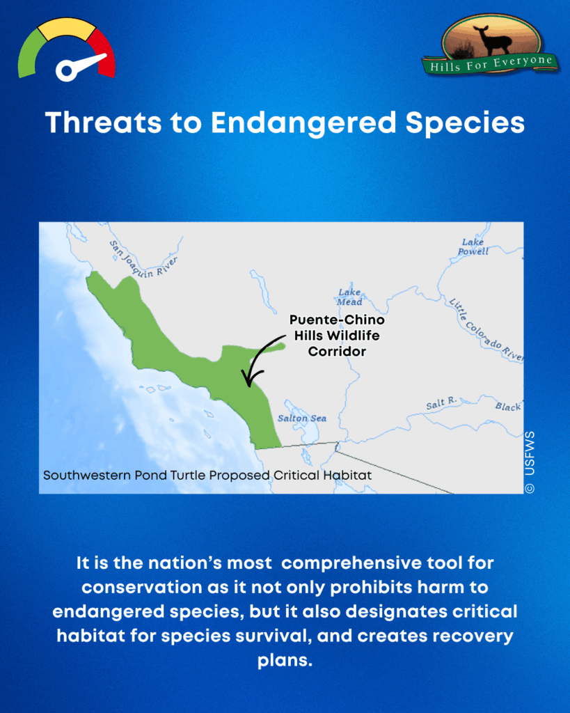 A blue background image with a thermometer on the left indication HIGH. On the right is the HFE Logo. Across the top is a "Threats to Endangered Species" title. In the middle is a photograph of map of the Southwestern Pond Turtle Proposed Critical Habitat with the Puente-Chino Hills Wildlife Corridor located on the map. Below it, it reads: It is the nation’s most comprehensive tool for conservation as it not only prohibits harm to endangered species, but it also designates critical habitat for species survival, and creates recovery plans.