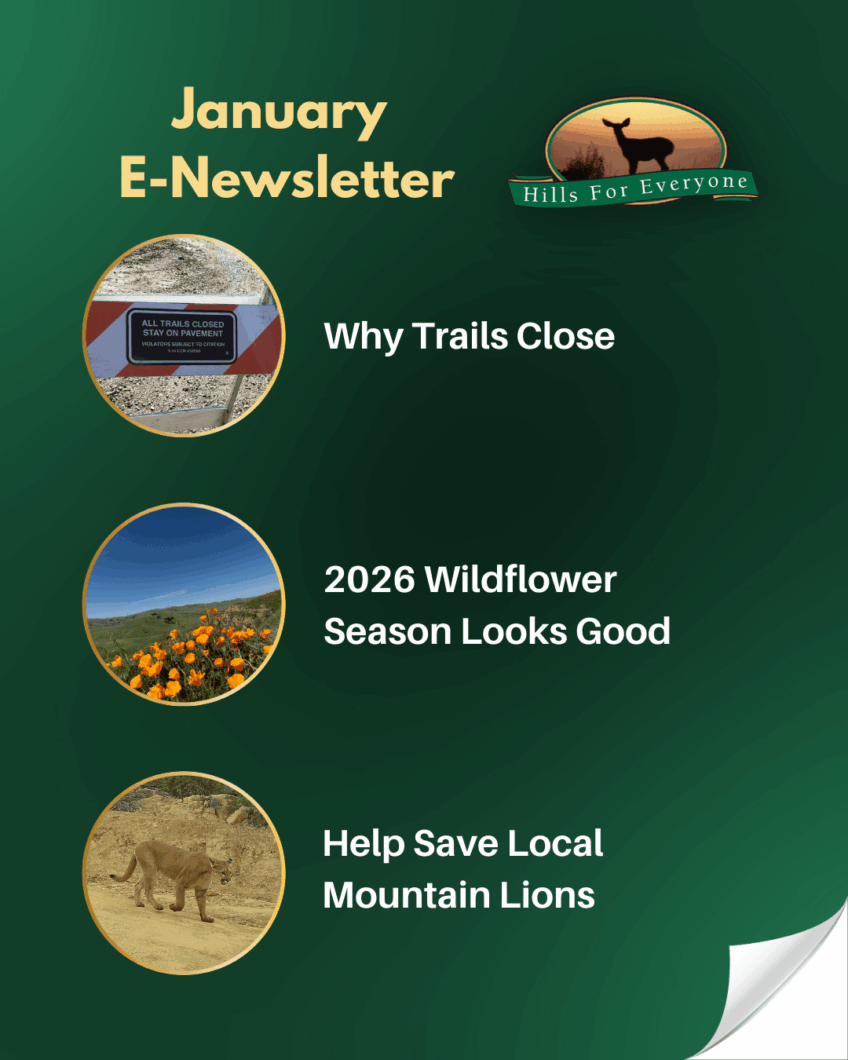 New Year Starts Off Green