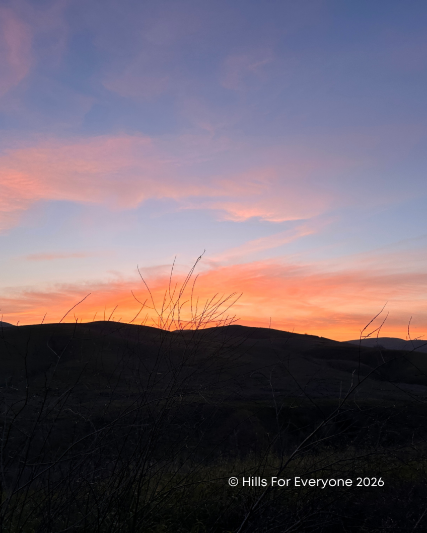 2025 End of Year Recap Video