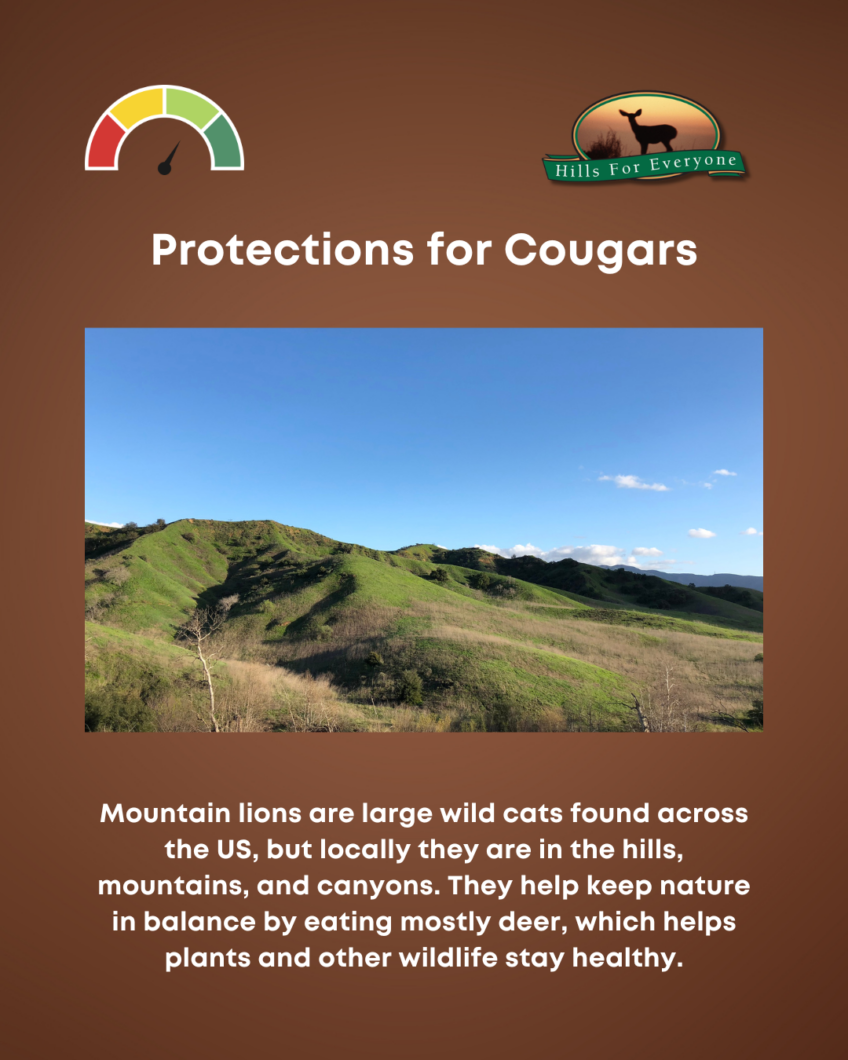 Cougar Protections Extended