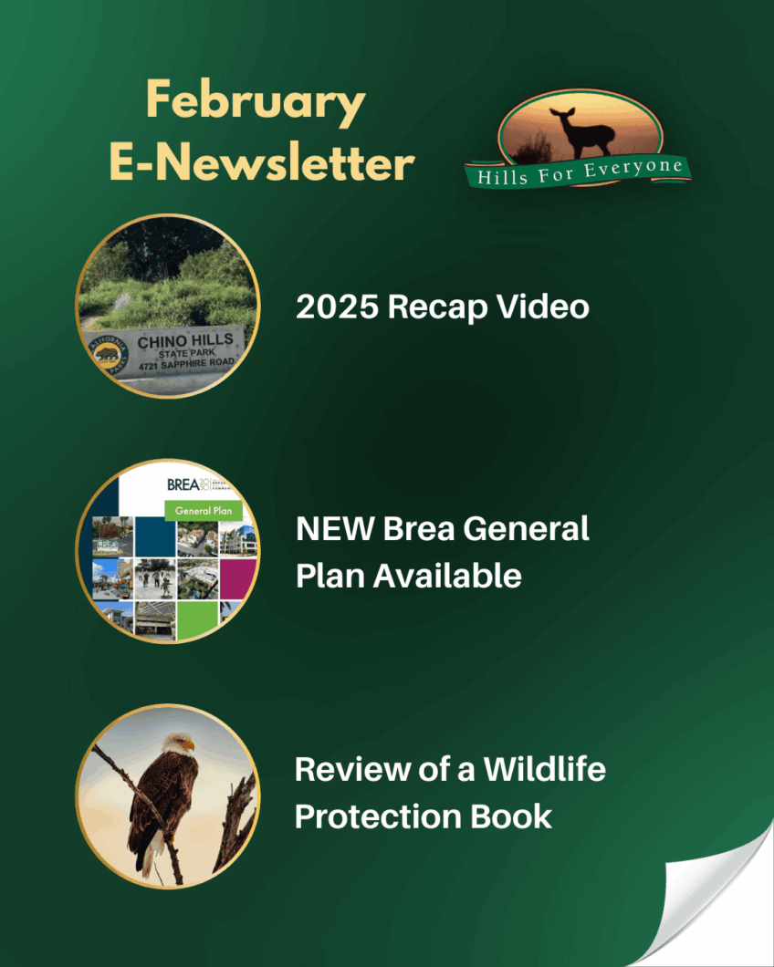 February 2026 E-Newsletter