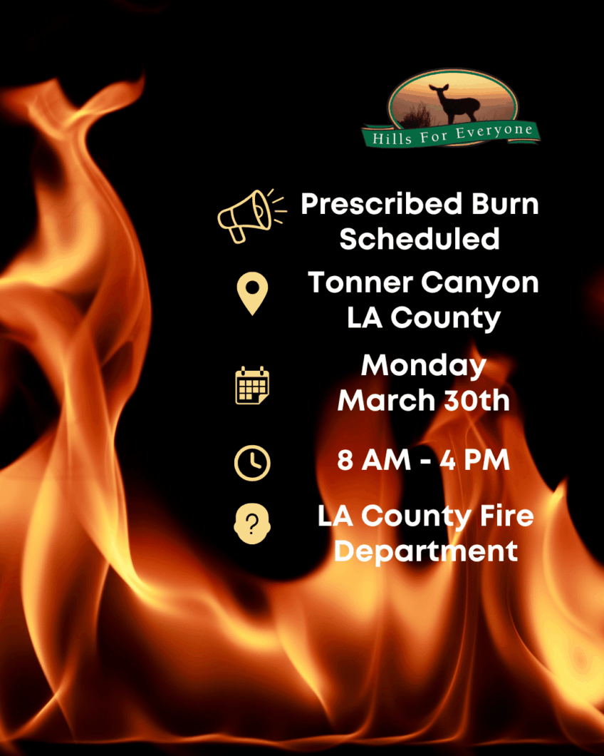Prescribed Burn