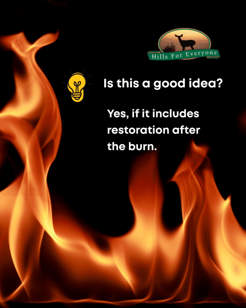 A background of flames against black with the HFE logo upper right. The text reads: Is this a good idea? Yes, if it includes restoration after the burn.