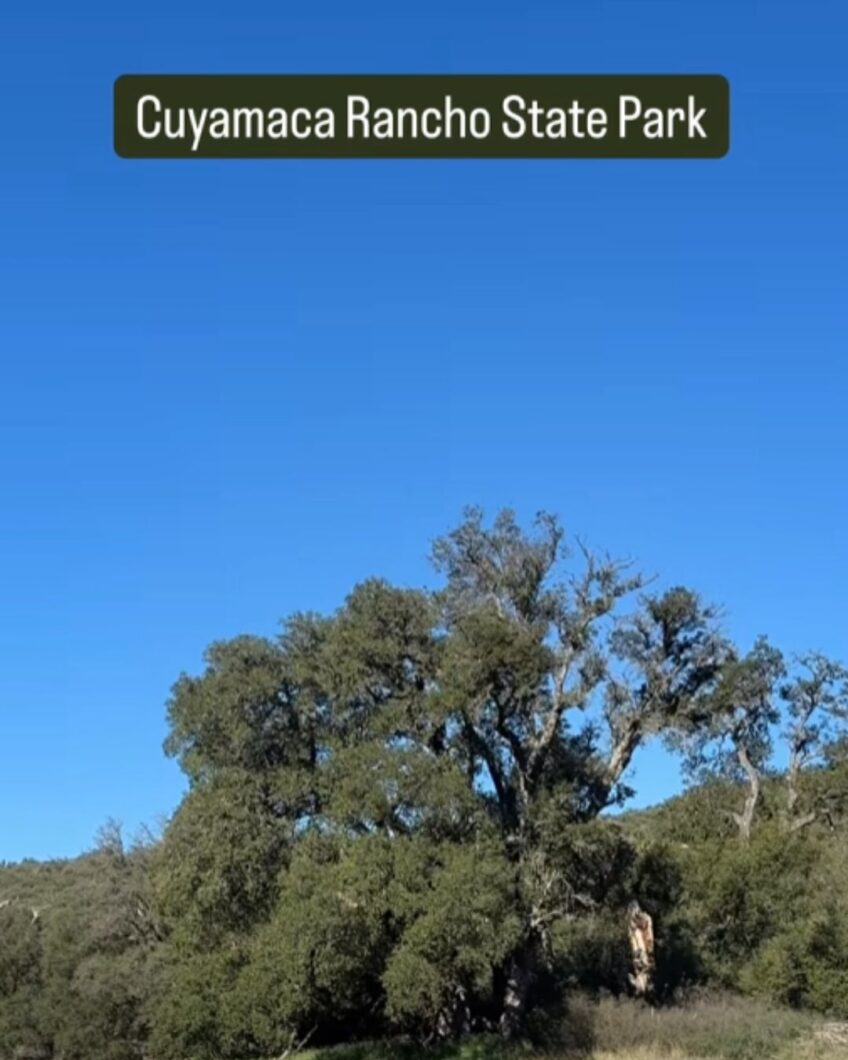Cuyamaca Rancho State Park