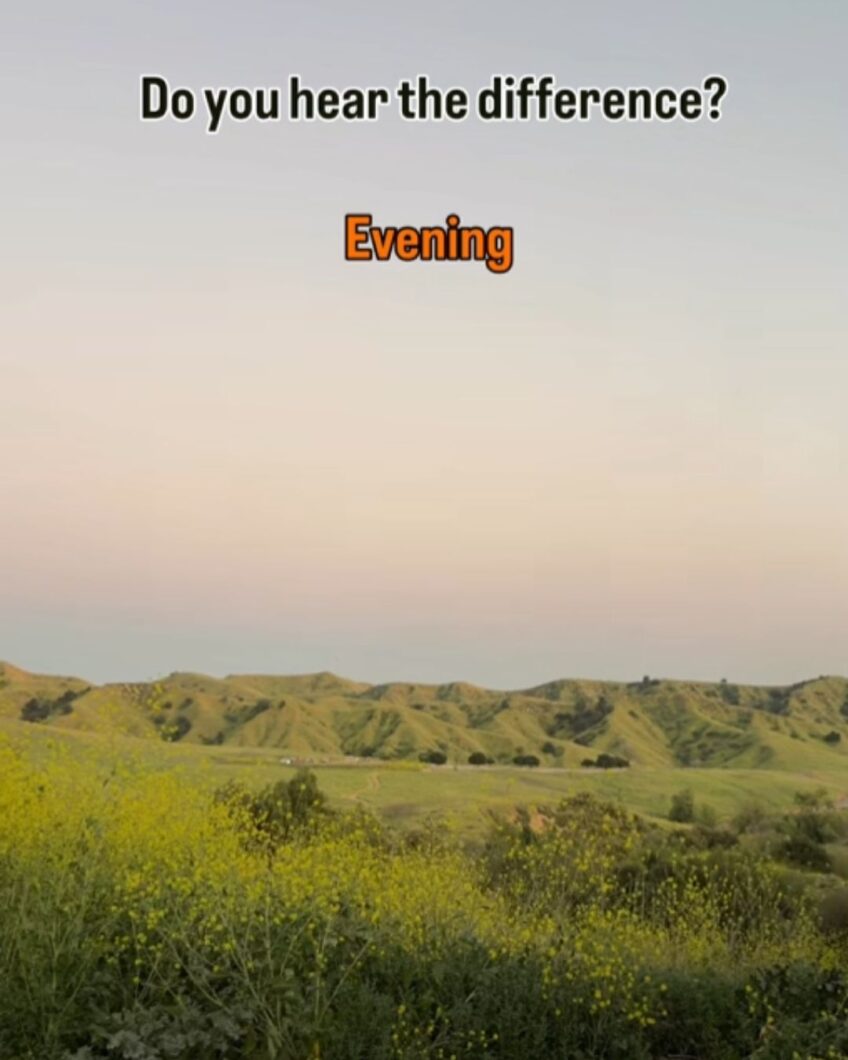 The Sounds of Nature