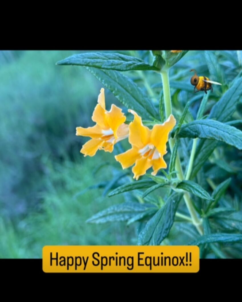 Spring Equinox