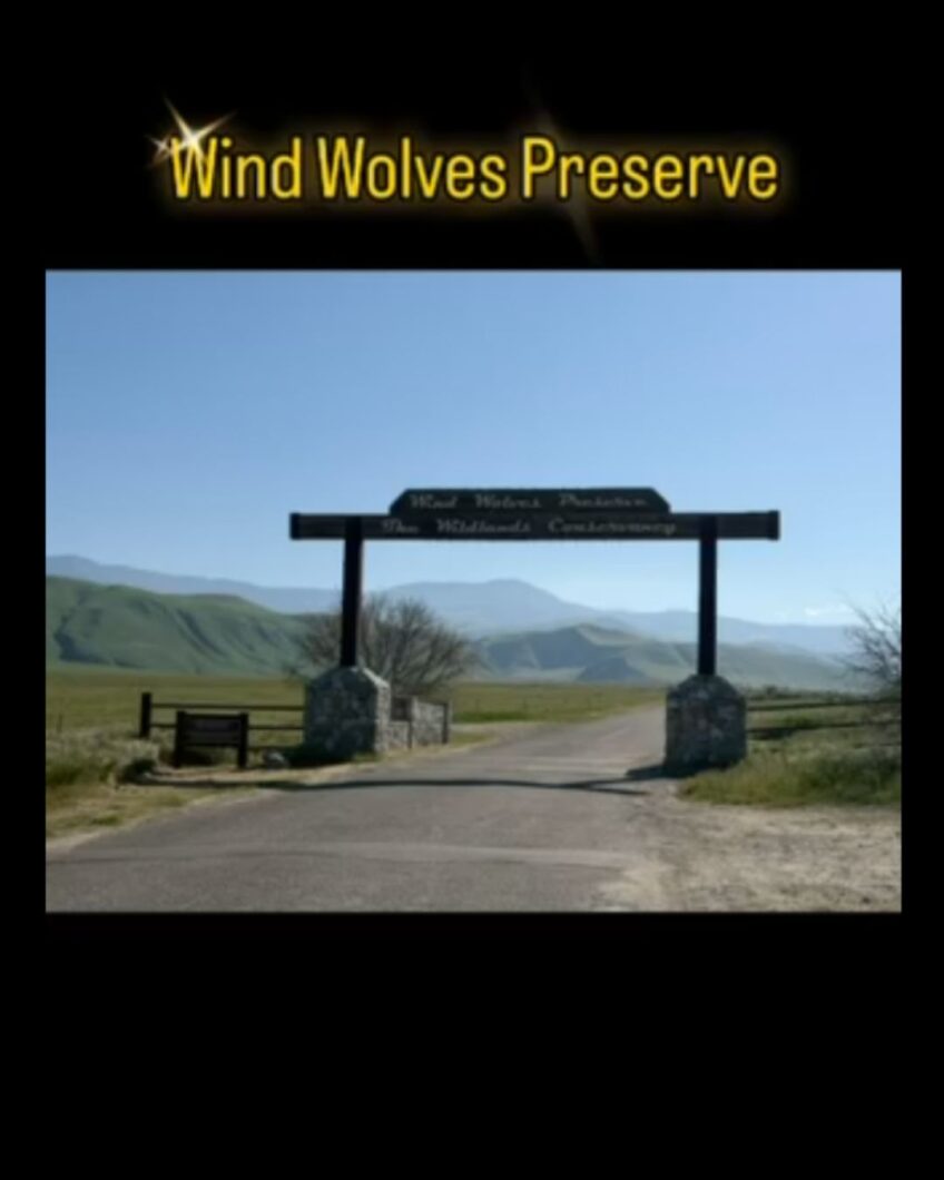Wind Wolves Preserve