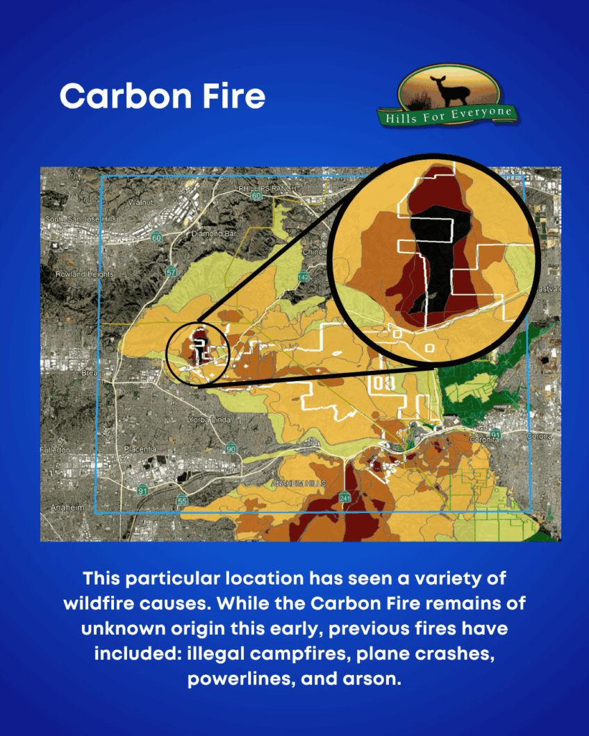 Carbon Fire