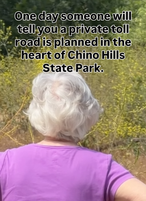 Defeating the Toll Road Proposal