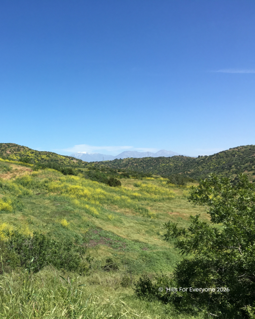 A photograph of Chino Hills State Park in spring with the mountains in the distance.
