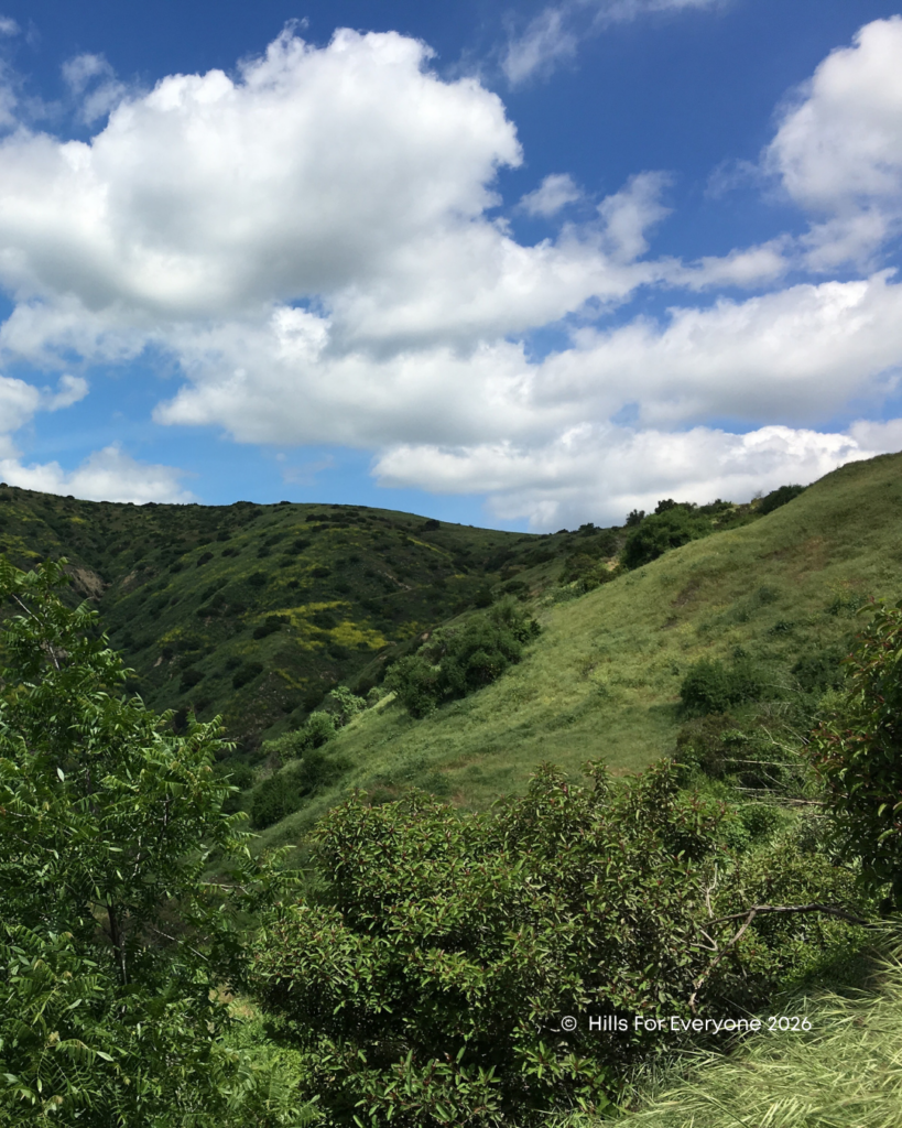 A photograph of Chino Hills State Park in Spring with clouds above and bright blue skies.