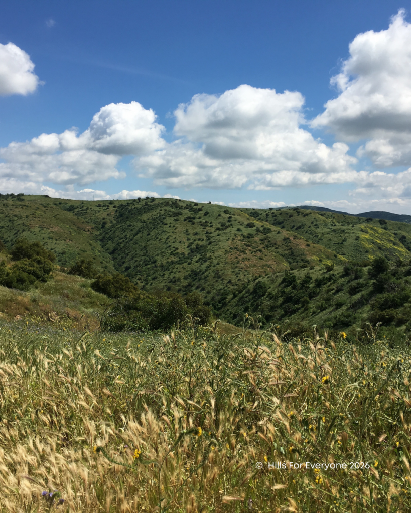 A photograph of Chino Hills State Park in Spring with clouds above and bright blue skies.