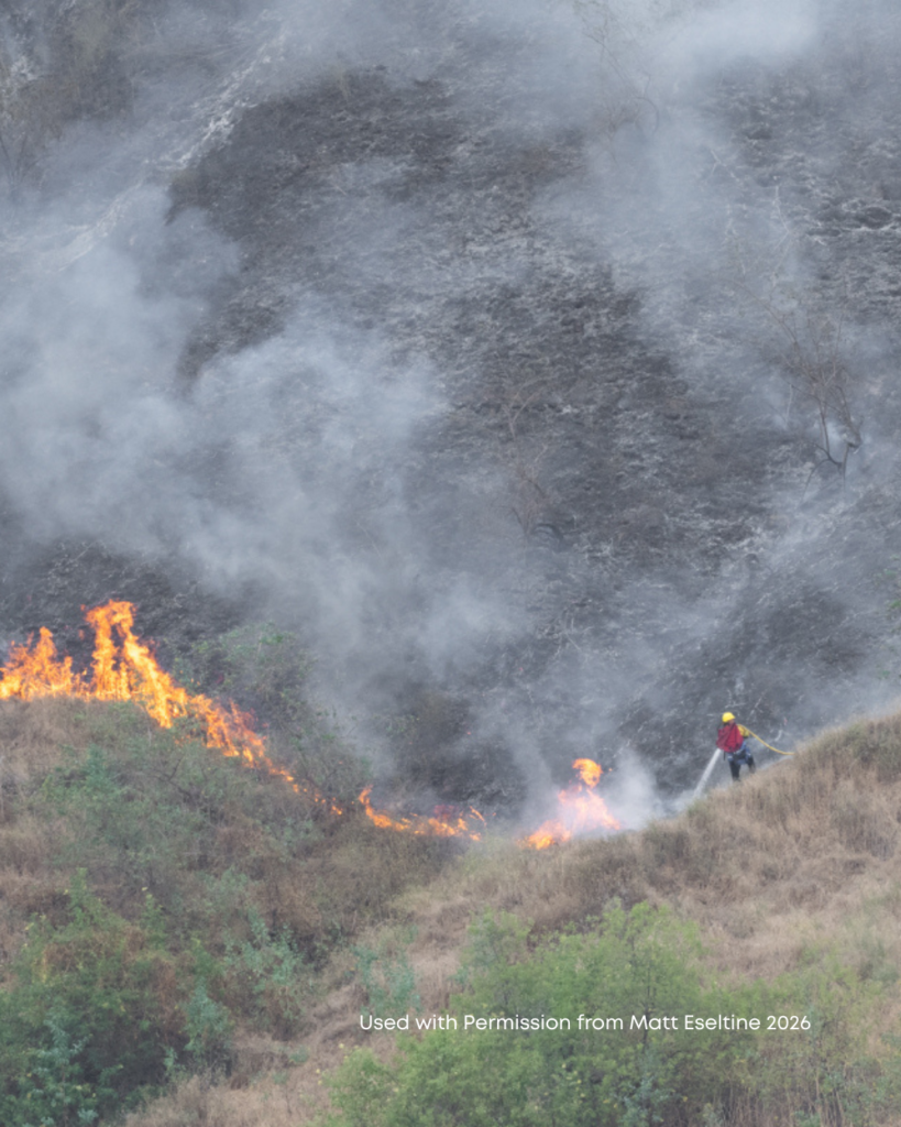 A fireman hoses down an active fire in a hillside.