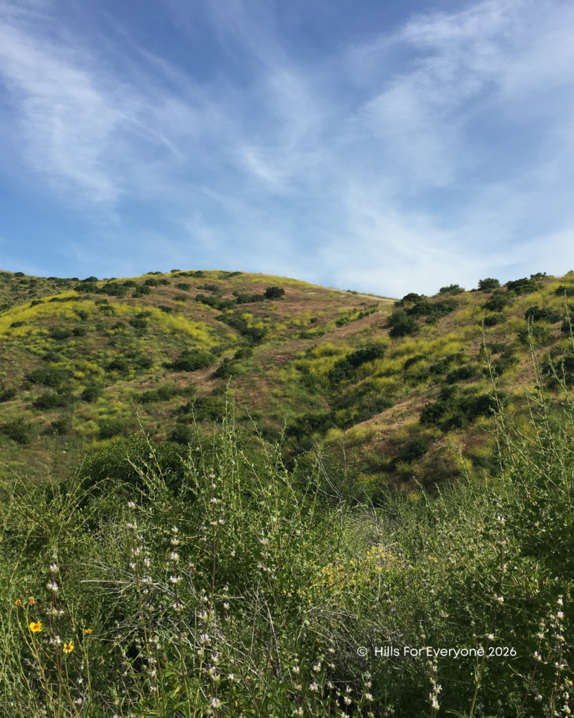 A photograph of Chino Hills State Park in Spring.