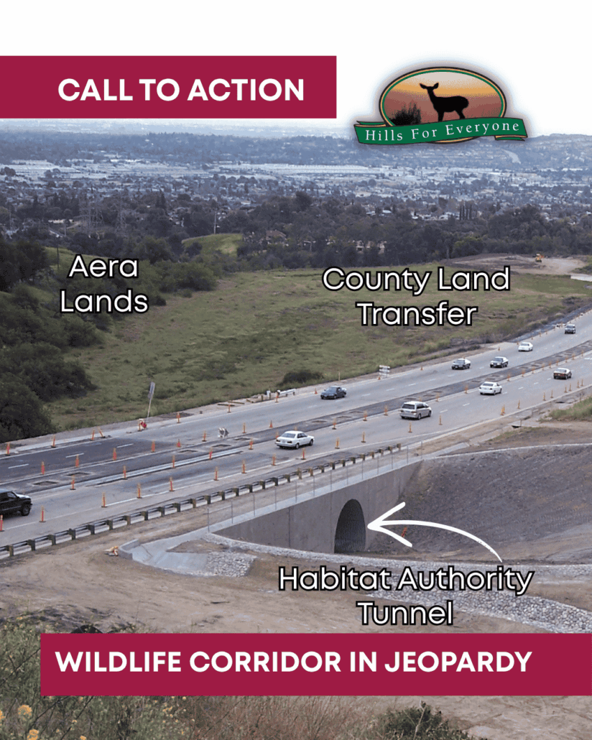 Action Alert: LA County Decision May Unravel Corridor