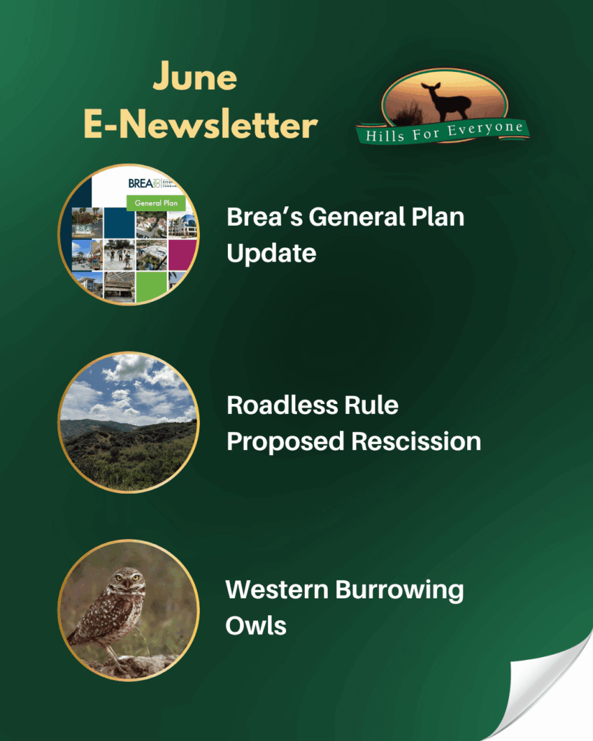 June 2026 E-Newsletter