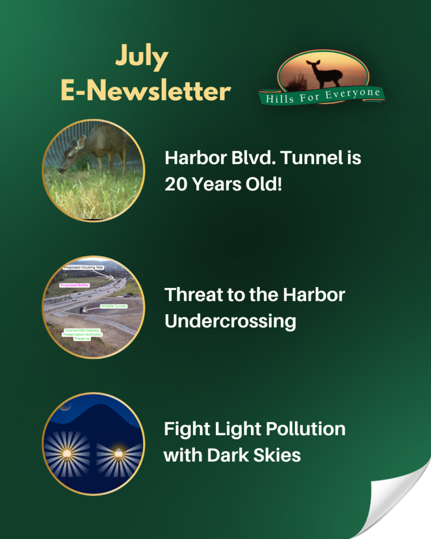 July E-Newsletter
