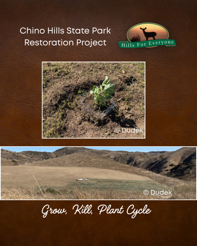 Against a brown leathery background, the HFE logo is upper right and the text: Chino Hills State Park Restoration Project upper left. The image is a small plant in the restoration area and then a truck spraying green mulch across the landscape with the phrase "Grow, Kill, Plant Cycle" at the bottom.