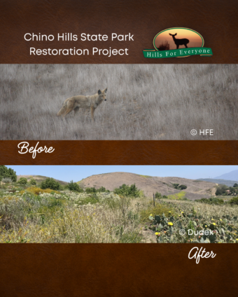 CHSP Restoration
