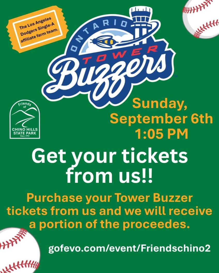 September 6th Baseball Game