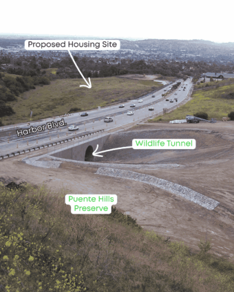 Threat to the Harbor Undercrossing