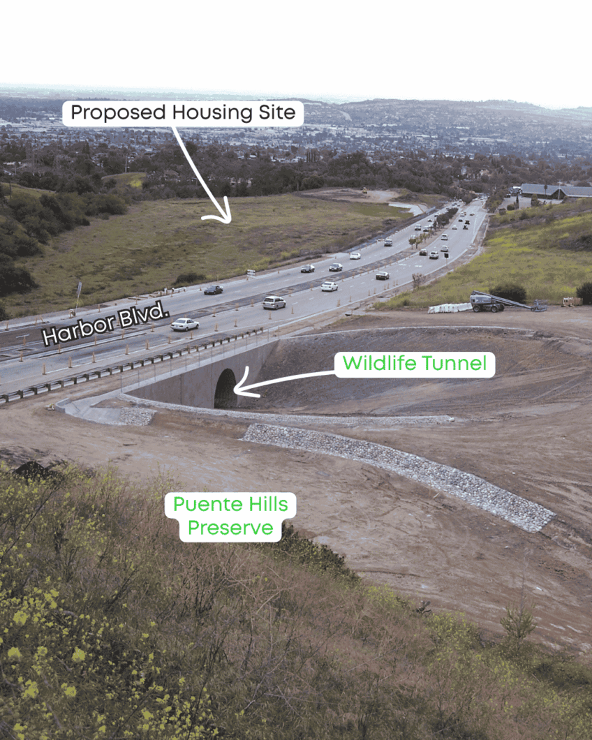 Threat to the Harbor Undercrossing