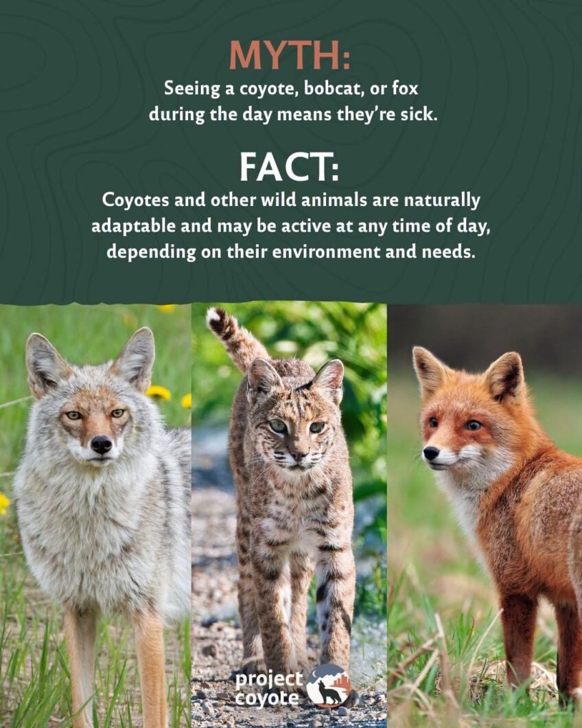 Myth vs. Fact